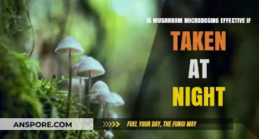 Nighttime Mushroom Microdosing: Effective or Counterproductive for Results?