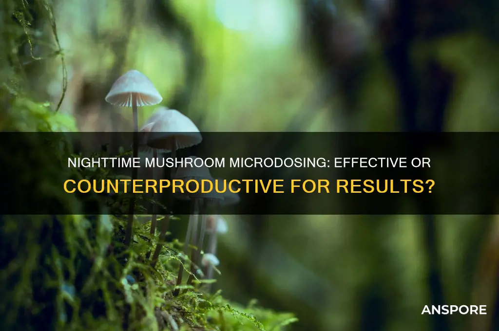 is mushroom microdosing effective if taken at night