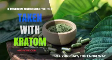 Mushroom Microdosing and Kratom: A Potent Combo or Risky Mix?