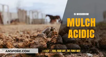 Mushroom Mulch: Acidic or Alkaline?
