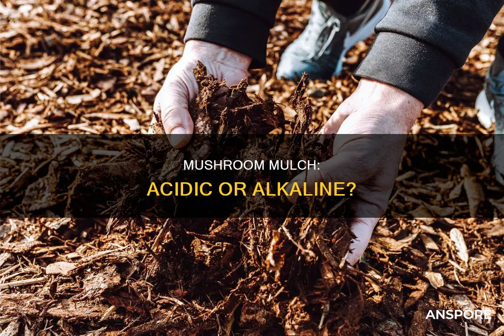 is mushroom mulch acidic