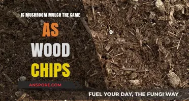 Mushroom Mulch vs. Wood Chips: Understanding the Key Differences