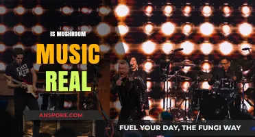 Mushroom Music: Nature's Real Symphony