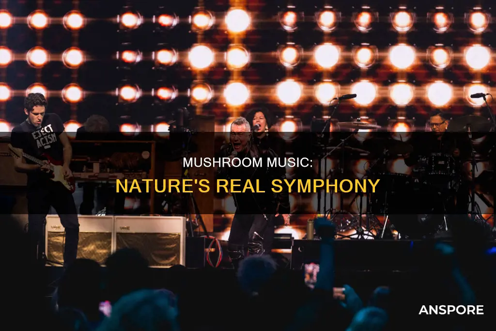 is mushroom music real