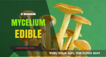 Can You Eat Mushroom Mycelium? Exploring Its Edibility and Benefits