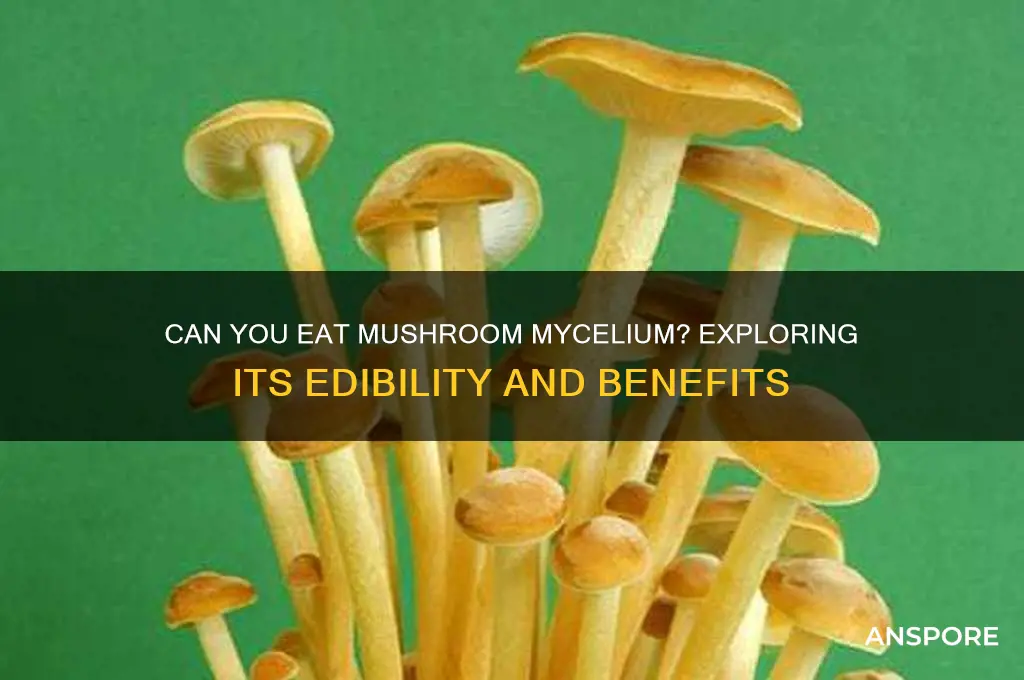 is mushroom mycelium edible