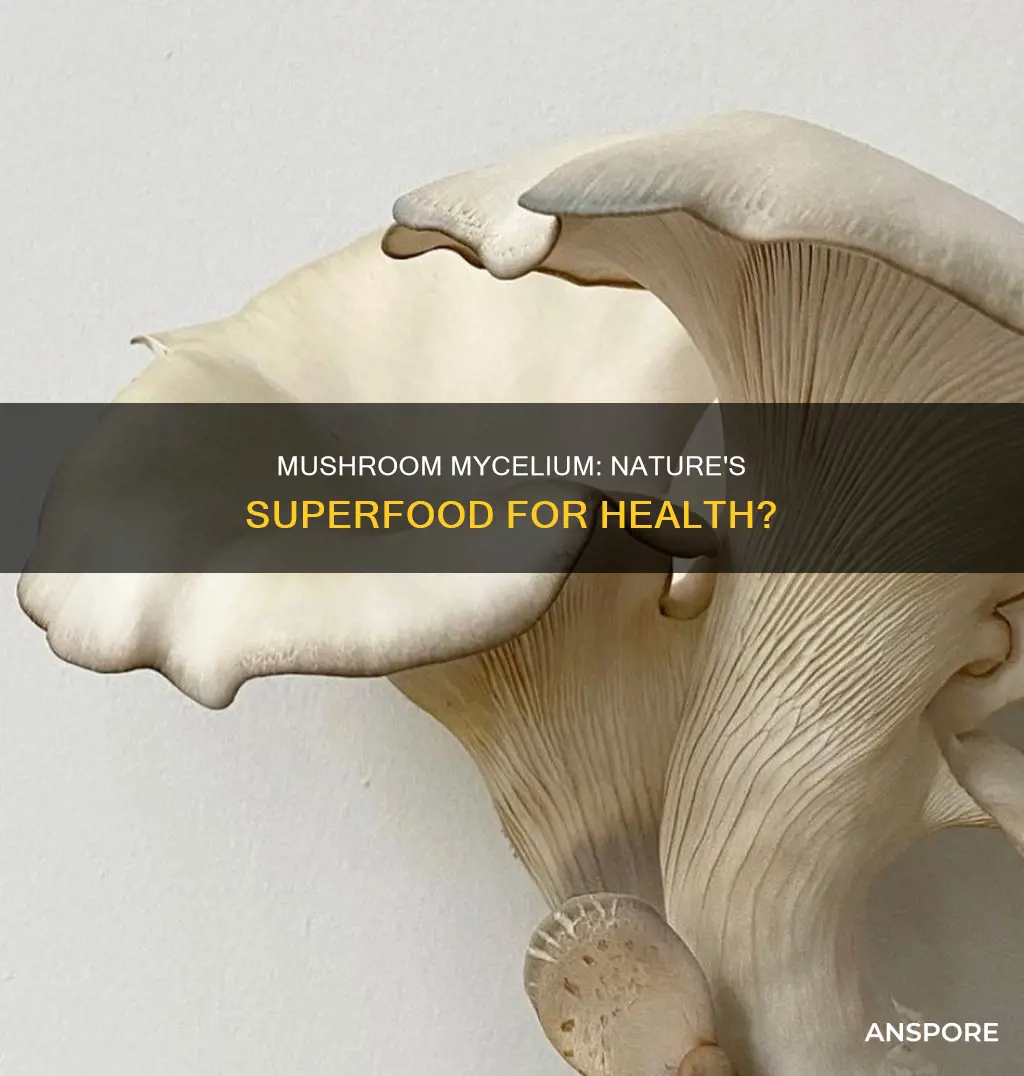 is mushroom mycelium healthy