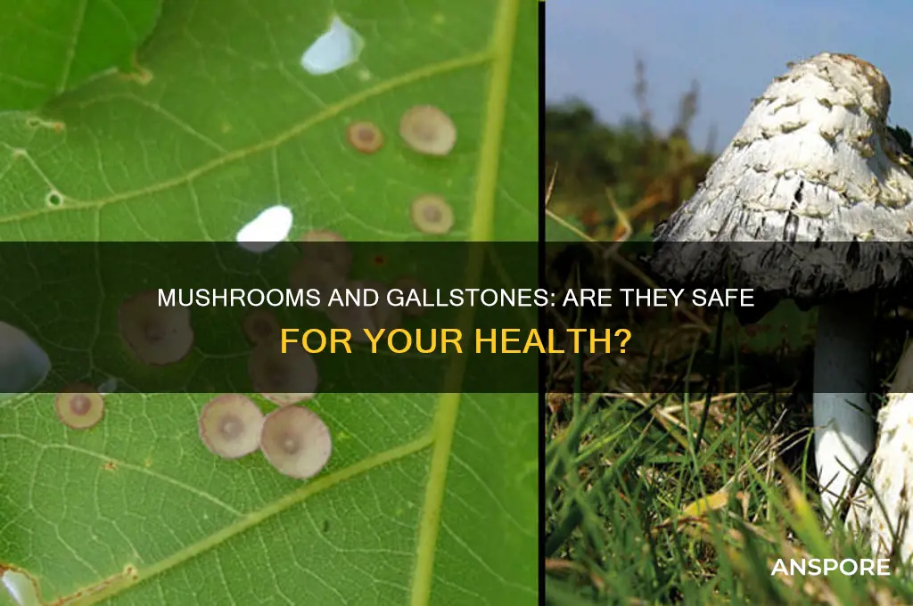 is mushroom not good if you have gallstones problems