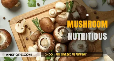 Mushroom Nutrition: Superfood or Super-Myth?