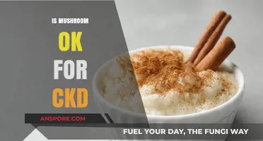 Mushrooms and CKD: A Healthy Mix?