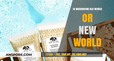 Exploring Mushroom Origins: Old World vs. New World Roots Revealed