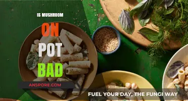 Mushroom on Pot: Risks, Effects, and What You Need to Know