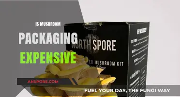 Mushroom Packaging: Costly or Eco-friendly Innovation?