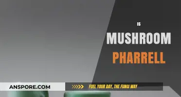 Pharrell's Mushroom Style: A Unique Fashion Statement