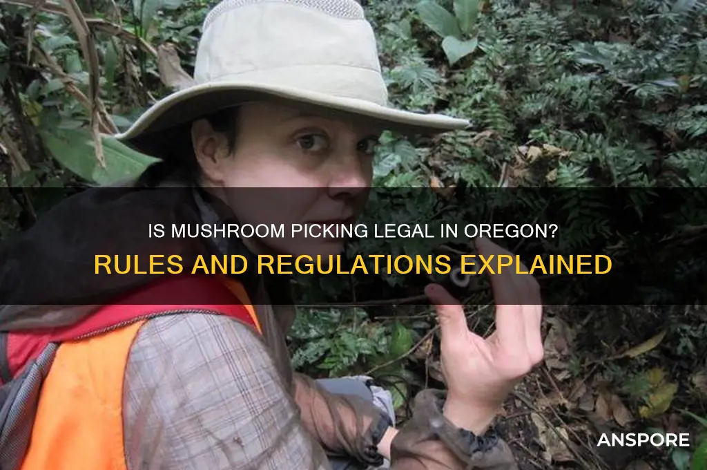 is mushroom picking legal in oregon