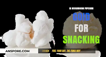 Mushroom Pipcorn: A Healthy, Flavorful Snack Alternative?