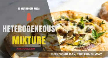 Is Mushroom Pizza a Heterogeneous Mixture? Exploring Culinary Chemistry