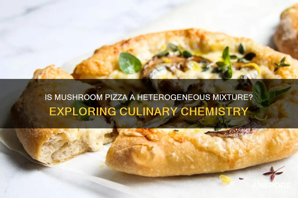 is mushroom pizza a heterogeneous mixture