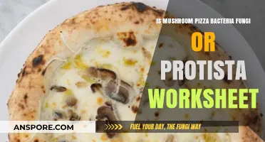 Mushroom Pizza: Bacteria, Fungi, or Protista? A Worksheet Guide