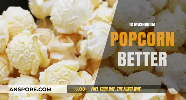 Mushroom Popcorn: Why It's the Best Snack Option