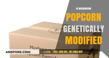 Mushroom Popcorn: Genetically Modified or Not?