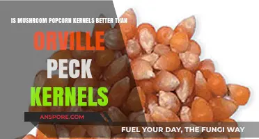 Mushroom Popcorn Kernels vs. Orville Peck: Which Pops Best?