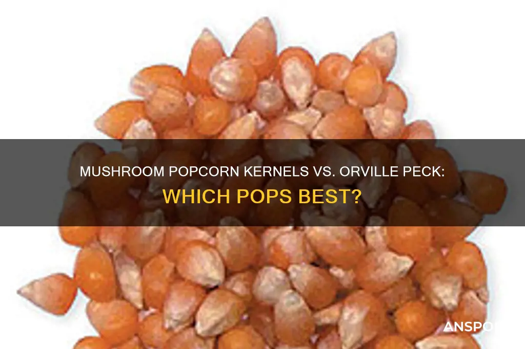 is mushroom popcorn kernels better than orville peck kernels