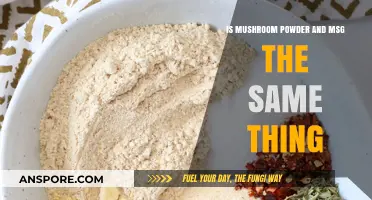 Mushroom Powder vs. MSG: Understanding the Key Differences and Uses