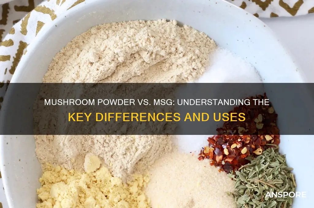 is mushroom powder and msg the same thing