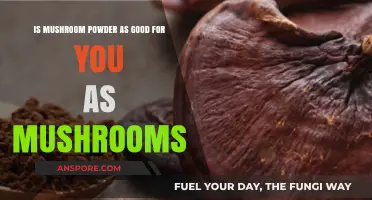 Mushroom Powder vs. Whole Mushrooms: Which is Healthier for You?