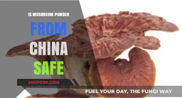 Is Chinese Mushroom Powder Safe? Uncovering the Truth and Risks