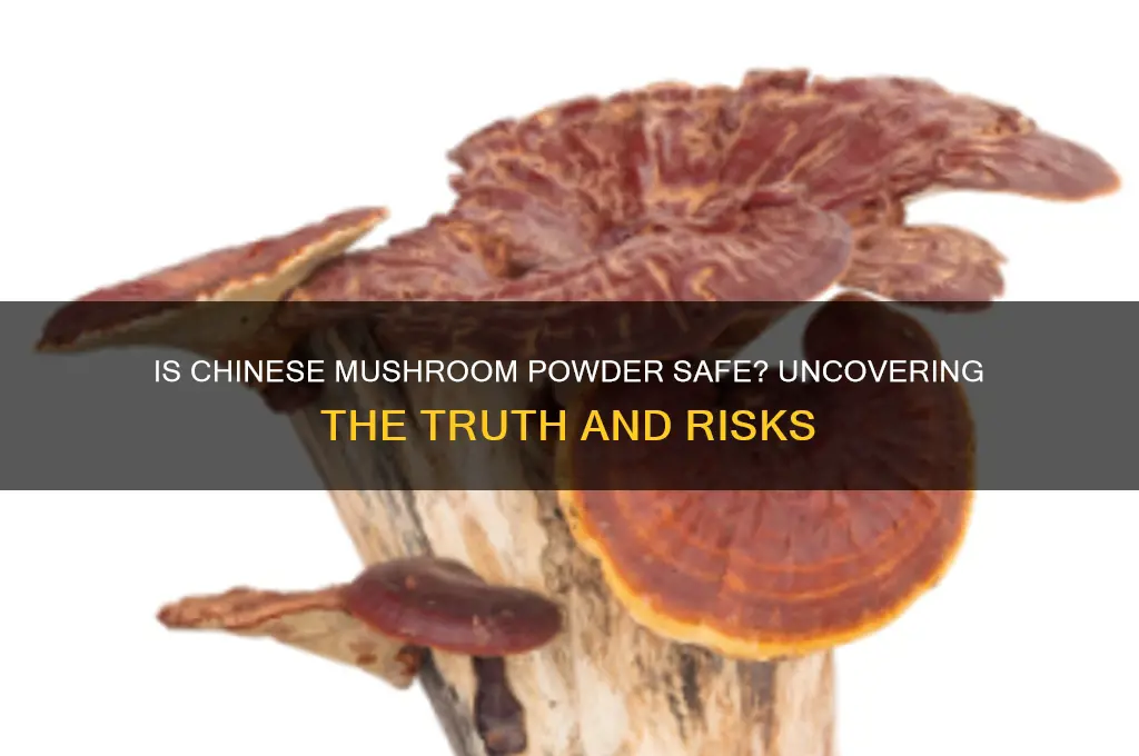 is mushroom powder from china safe
