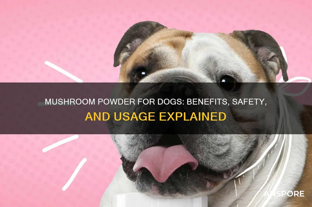 is mushroom powder good for dogs