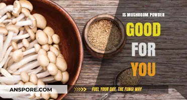 Mushroom Powder Benefits: Unlocking Nutrients and Health Potential for You