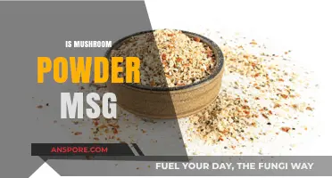 Mushroom Powder: A Healthy MSG Alternative?