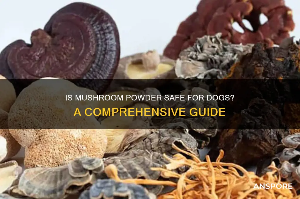 is mushroom powder safe for dogs
