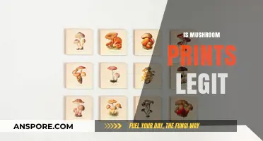Mushroom Prints: Legit or a Sham?