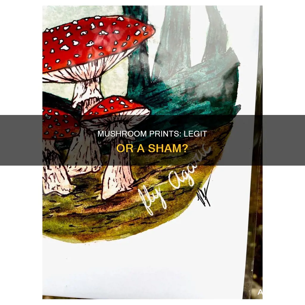 is mushroom prints legit