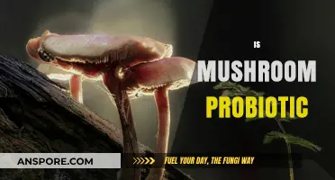 Mushroom Probiotics: The Superfood for Your Gut Health