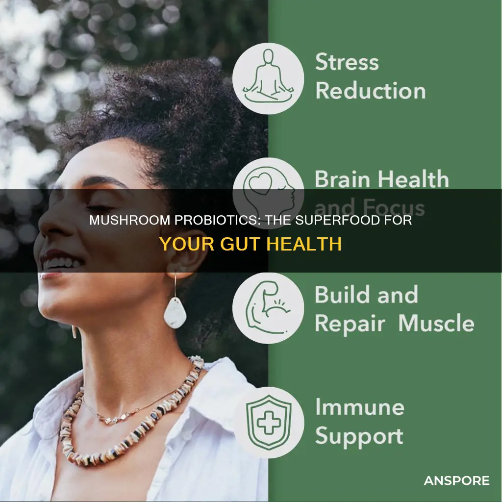 is mushroom probiotic