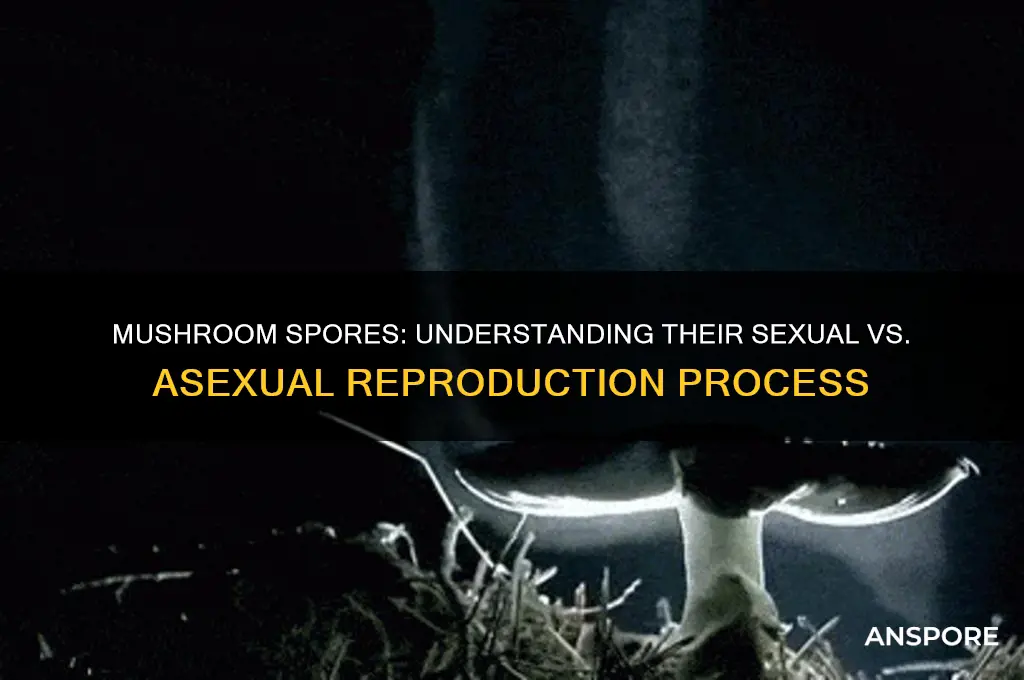 is mushroom producing spores sexual or asexual
