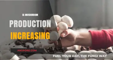 Mushroom Production: A Growing Trend?