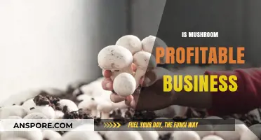 Mushroom Farming: A Lucrative Business Venture?