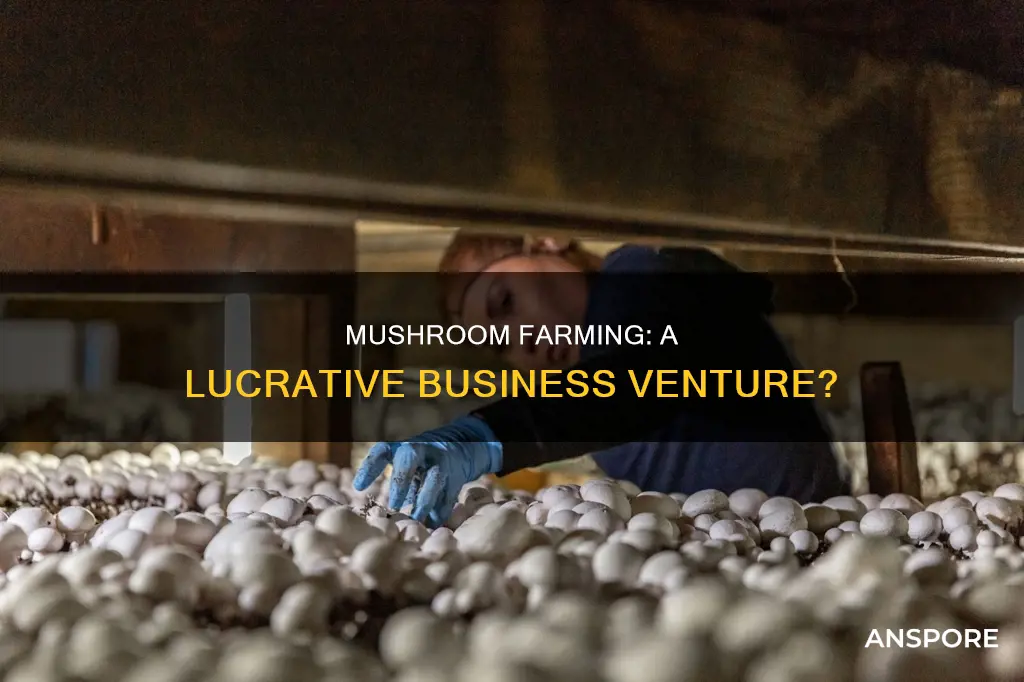 is mushroom profitable business