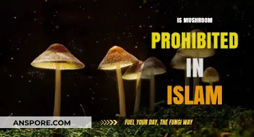 Mushrooms in Islam: Halal or Haram?