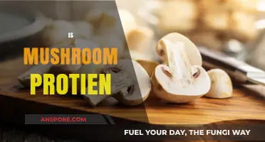Mushroom Protein: A Healthy Meat Alternative?