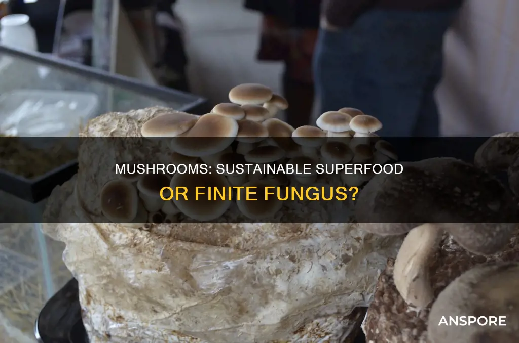 is mushroom renewable or nonrenewable