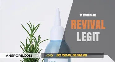 Mushroom Revival: Legit or a Scam?