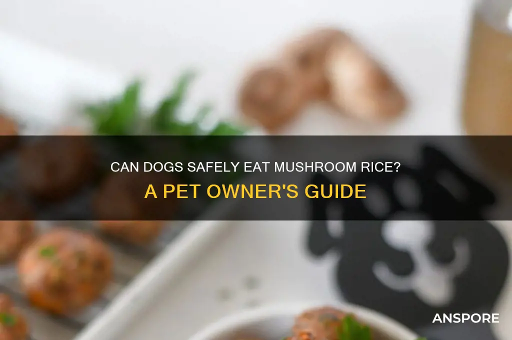 is mushroom rice ok for dogs to eat