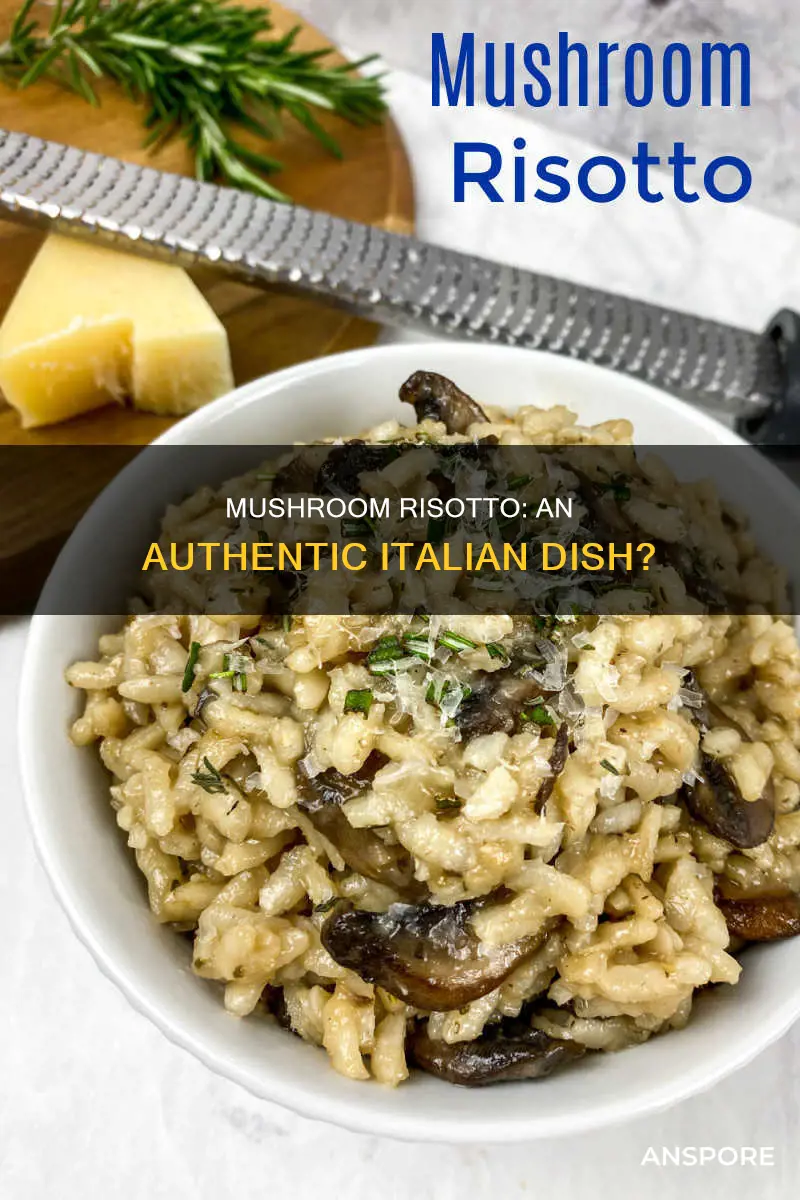 is mushroom risotto italian